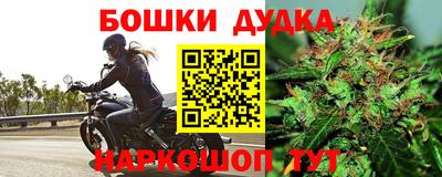 a pvp Будённовск