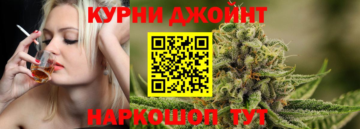 Бошки Шишки планчик Северск